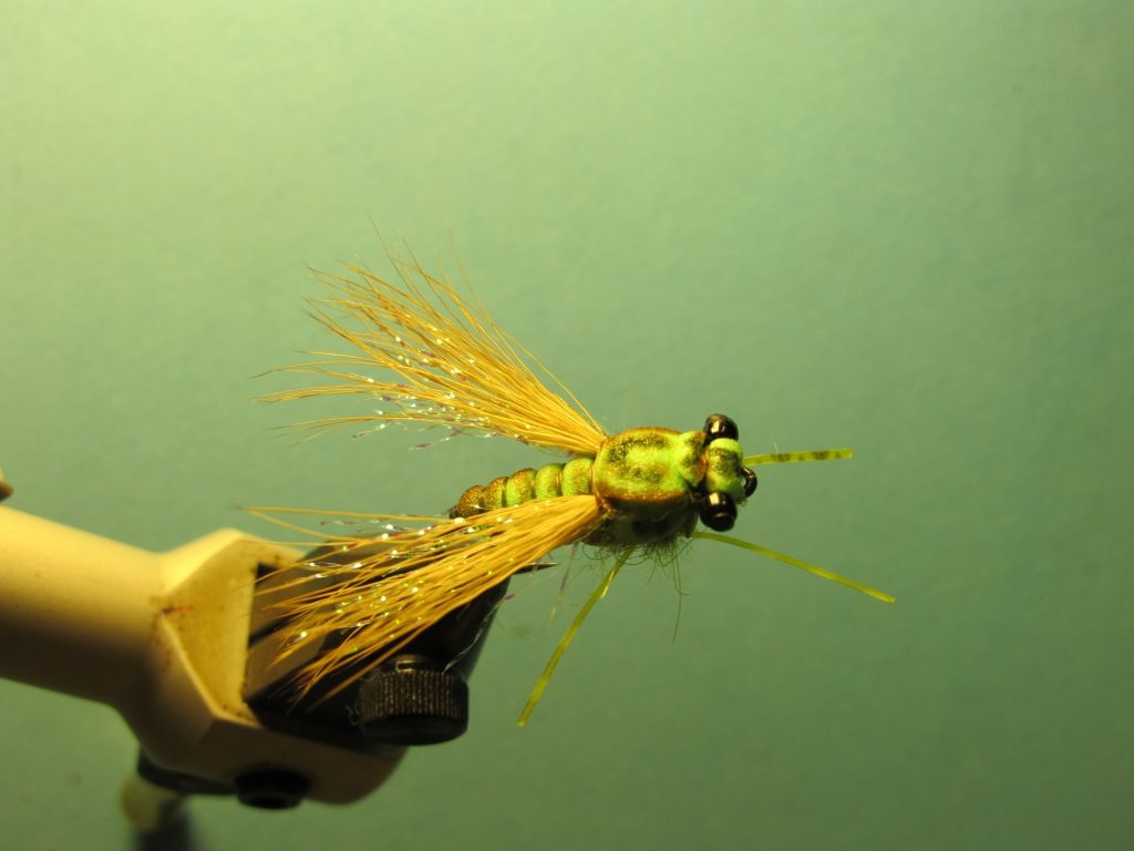 Cicada X - Step by Step Patterns & Tutorials - Fly Tying